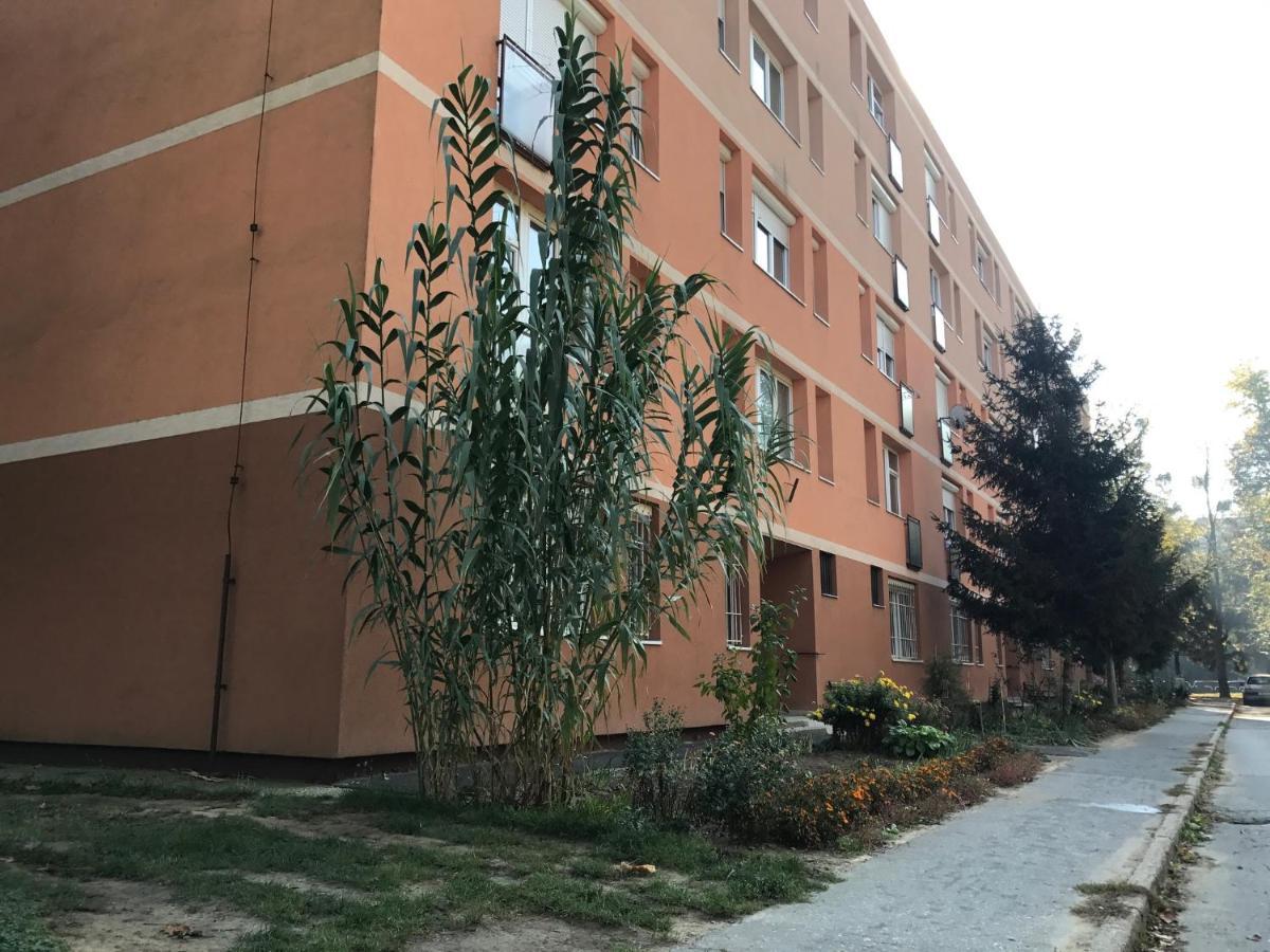 Appartamento La Bella Maria Apartman 2. Kaposvár Esterno foto